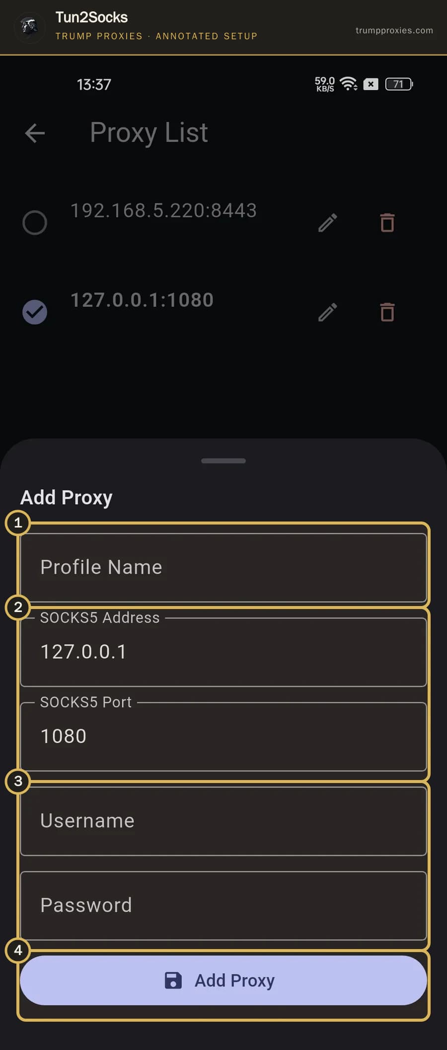 Annotated Tun2Socks Add Proxy sheet highlighting profile, SOCKS5 address, credentials and Add Proxy