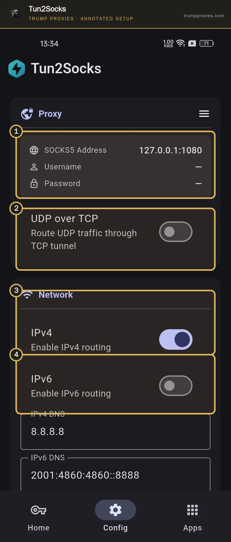 Annotated Tun2Socks configuration page highlighting proxy, UDP over TCP, IPv4 and IPv6 settings